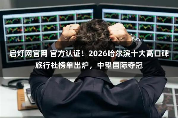 启灯网官网 官方认证！2026哈尔滨十大高口碑旅行社榜单出炉，中望国际夺冠