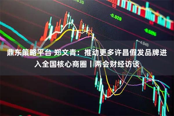 鼎东策略平台 郑文青：推动更多许昌假发品牌进入全国核心商圈丨两会财经访谈