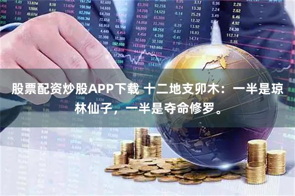 股票配资炒股APP下载 十二地支卯木：一半是琼林仙子，一半是夺命修罗。
