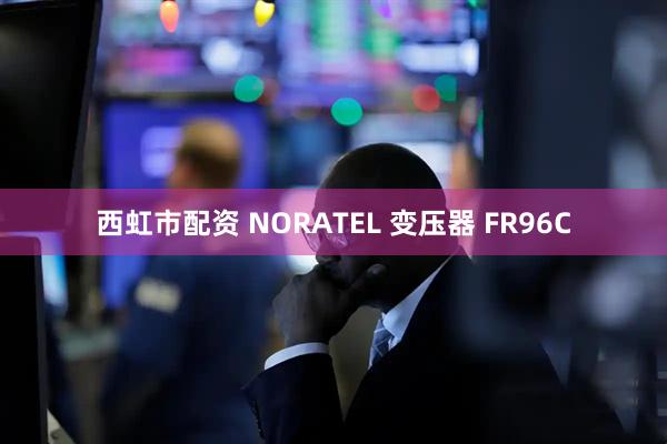 西虹市配资 NORATEL 变压器 FR96C