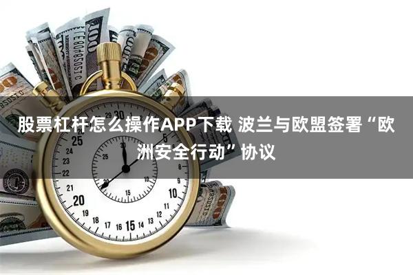 股票杠杆怎么操作APP下载 波兰与欧盟签署“欧洲安全行动”协议